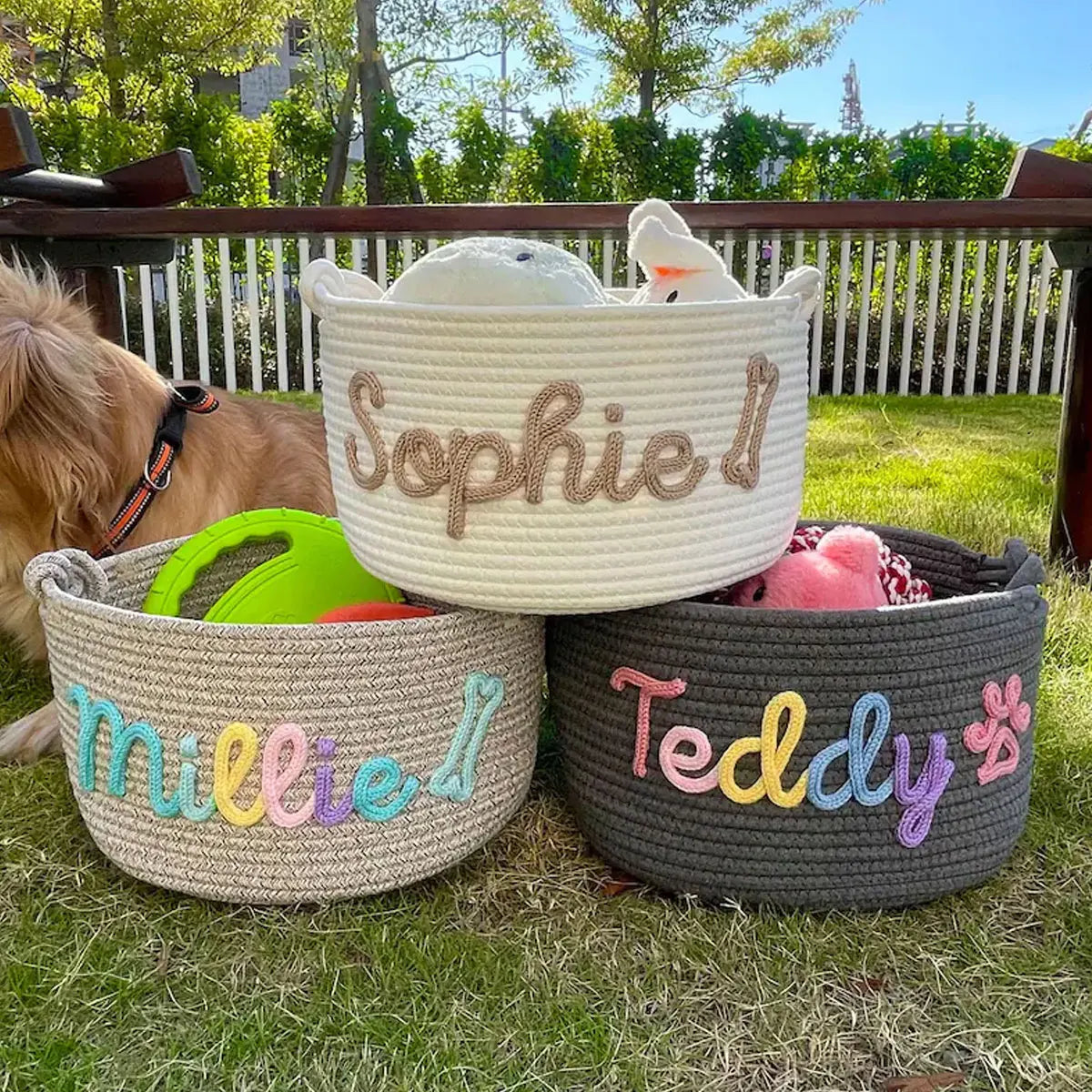 DDPaws  Cute Custom Pet Basket