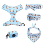 Designed Sausage Dog Vest Set