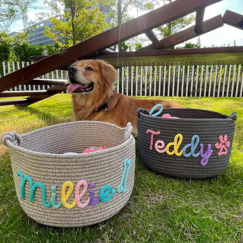 DDPaws  Cute Custom Pet Basket