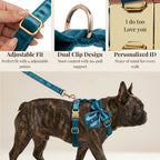 D&D Paws  Blue Green Satin Set