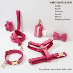 DDPaws  Rose Red Velvet Dog Collar Leash and Harness Set