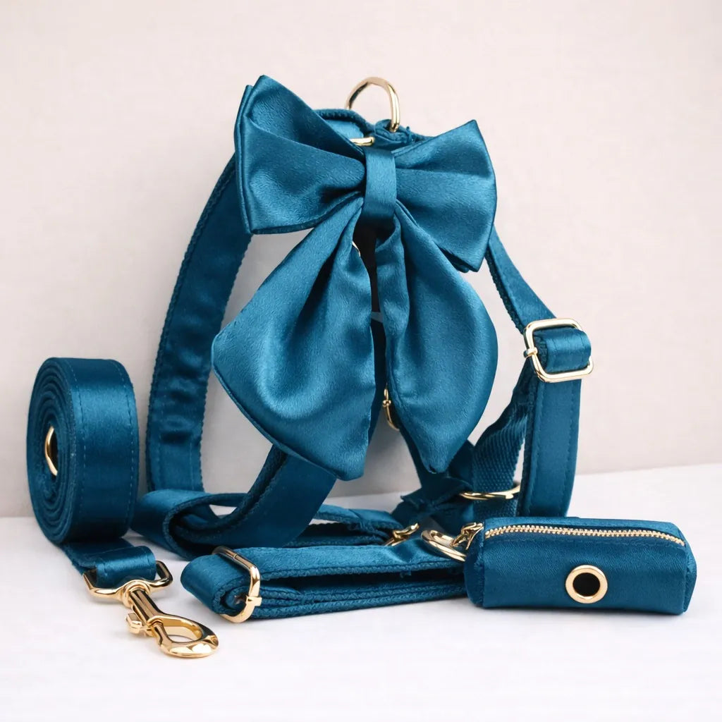 D&D Paws  Blue Green Satin Set
