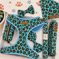 Designed Blue Leopard Dog Vest Set