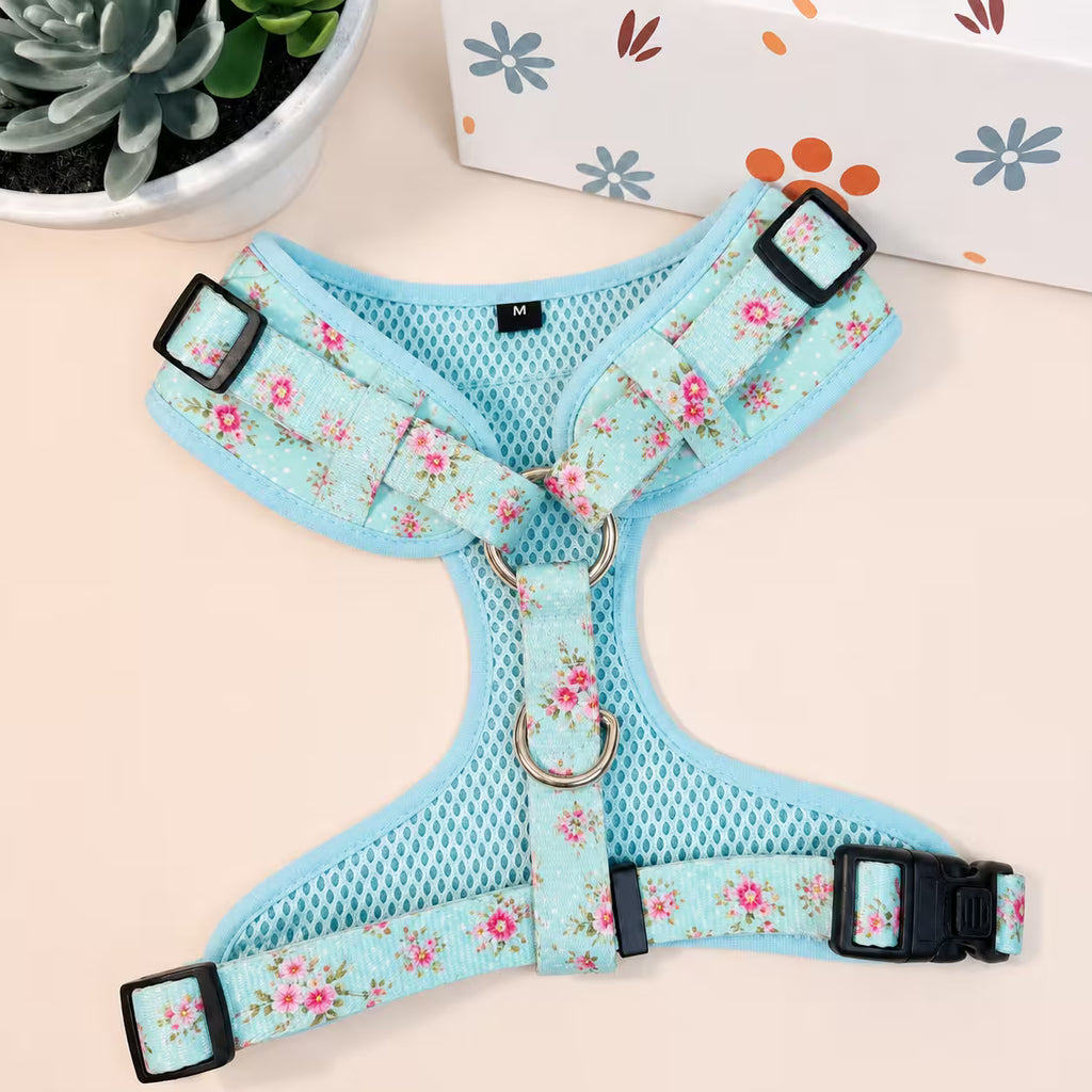 Designed Blue Blossom Floral Dog Vest Set