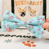Bowtie