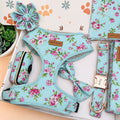 A pet accessory set in a floral print, featuring a light blue fabric harness, matching leash, small zippered pouch, and flower-shaped collar charm, all laid out in a box with a paw print patterned insert.
