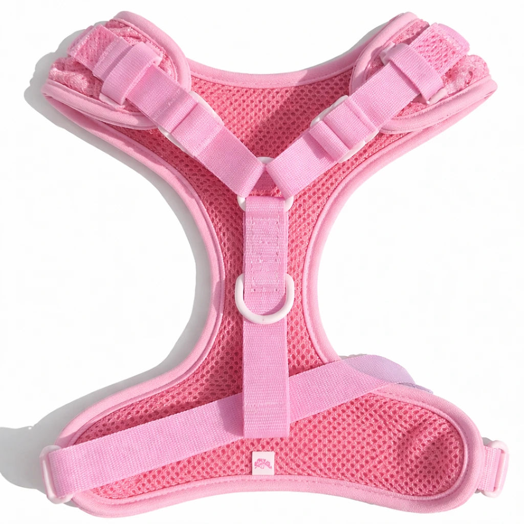 Valentine Rose Dog Harness, Collar & Leash Set – Floral Puppy Walking Set