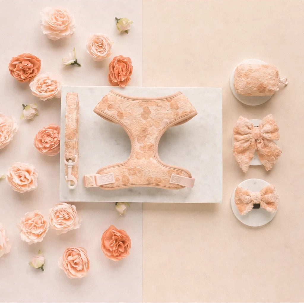 Valentine Rose Dog Harness, Collar & Leash Set – Floral Puppy Walking Set