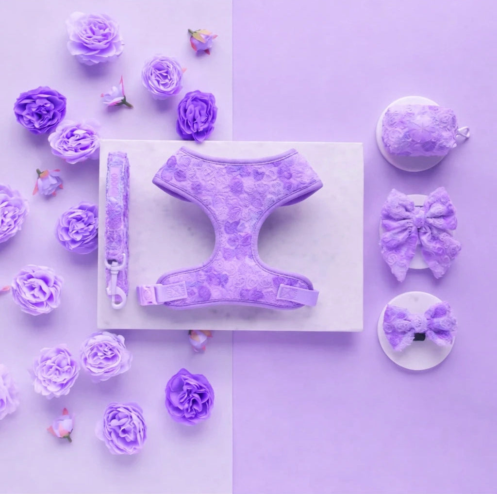 Valentine Rose Dog Harness, Collar & Leash Set – Floral Puppy Walking Set