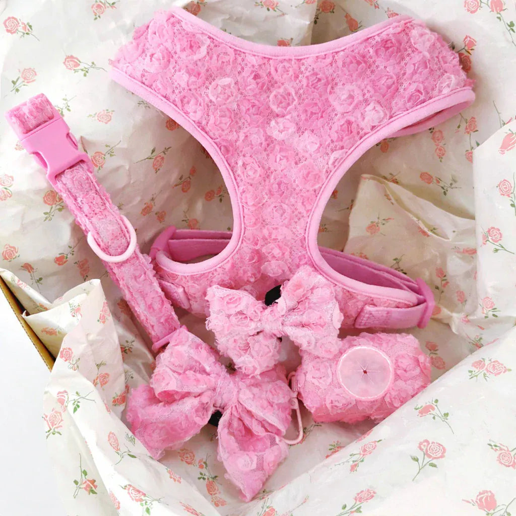 DDPaws  Light Pink / XXS Valentine Rose Dog Harness, Collar & Leash Set – Puppy Walking Set
