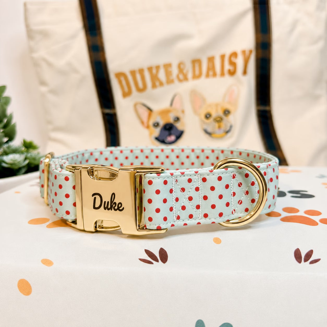 Designed Cherry Polka Dot Dog Vest Set