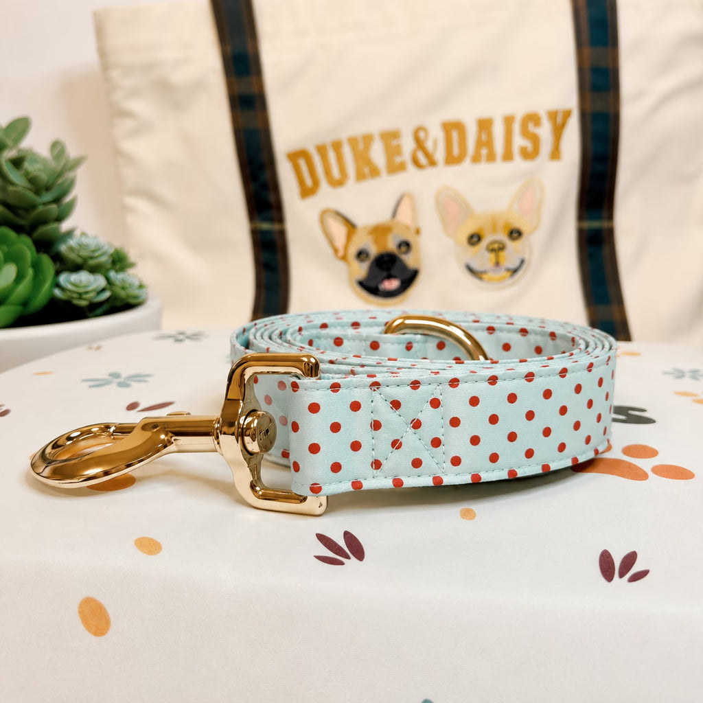 Designed Cherry Polka Dot Dog Vest Set