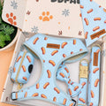 Designed Sausage Dog Vest Set