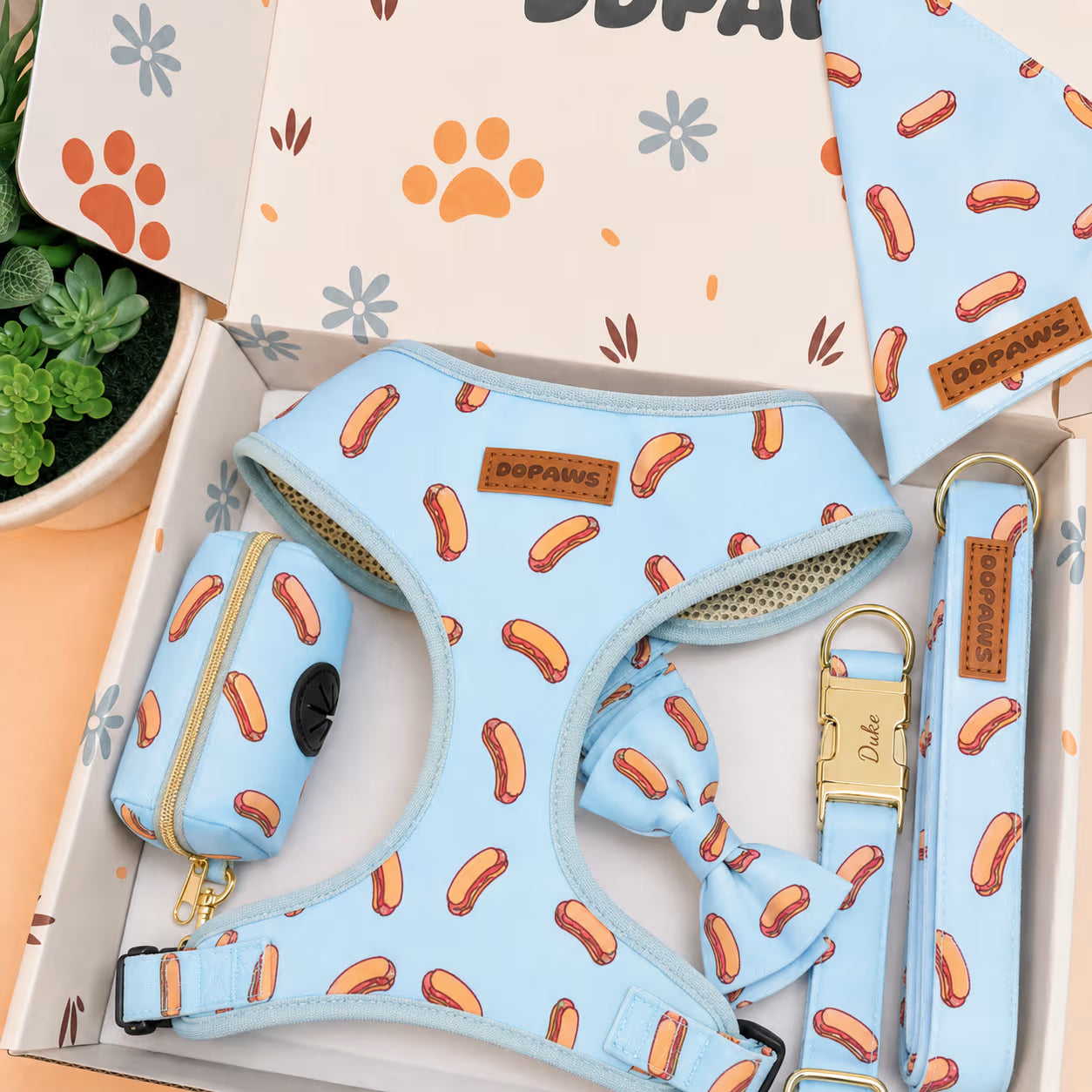 Designed Sausage Dog Vest Set