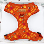 Designed Falling Leaves Dog Vest Set