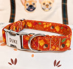 Designed Falling Leaves Dog Vest Set