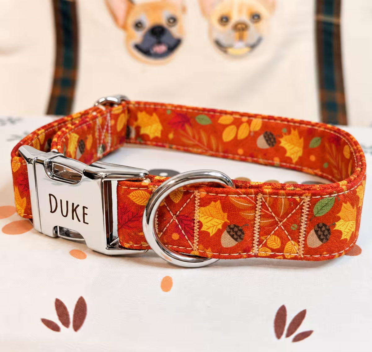 Designed Falling Leaves Dog Vest Set