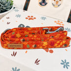Designed Falling Leaves Dog Vest Set