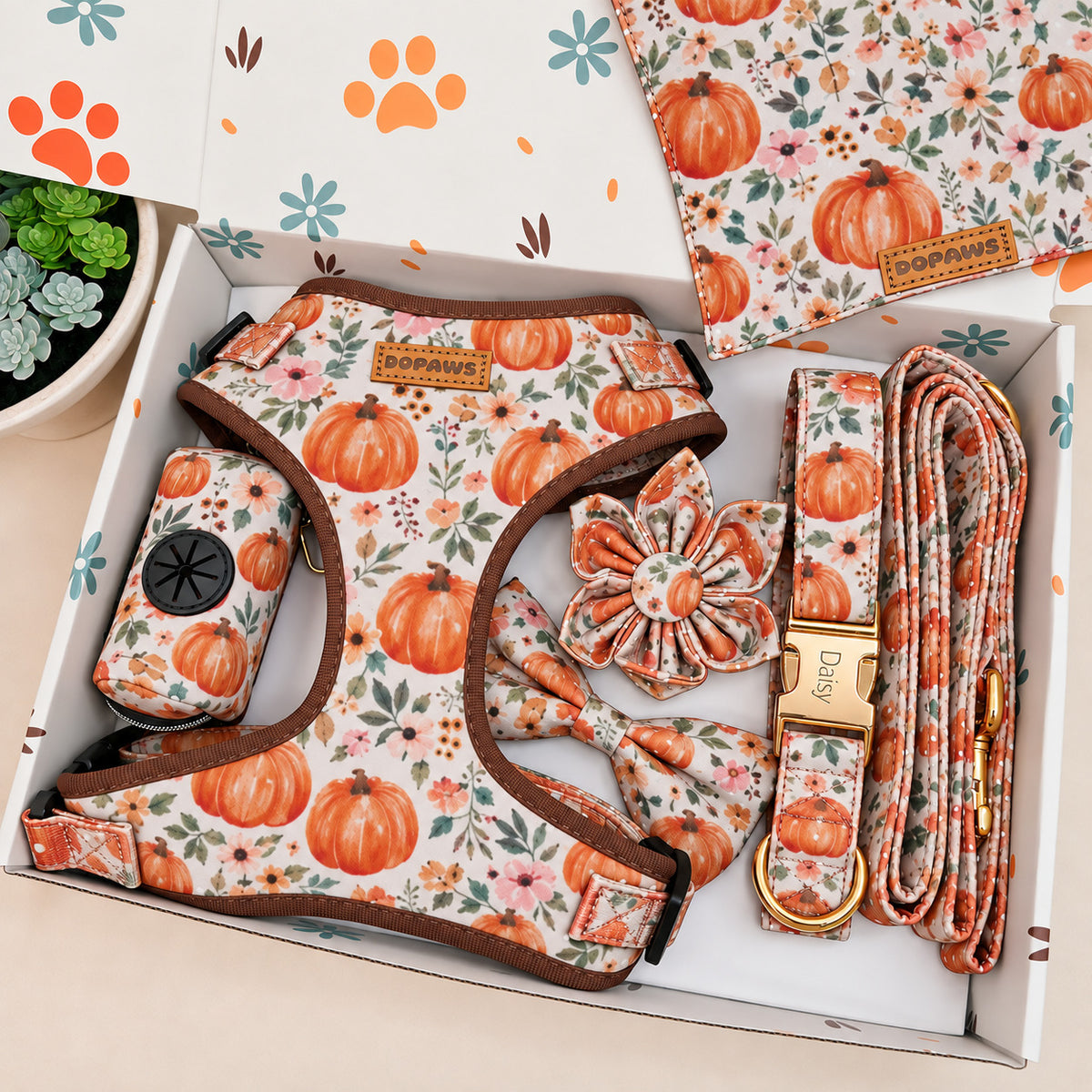 Designed Pumpkin Meadow Dog Vest Set
