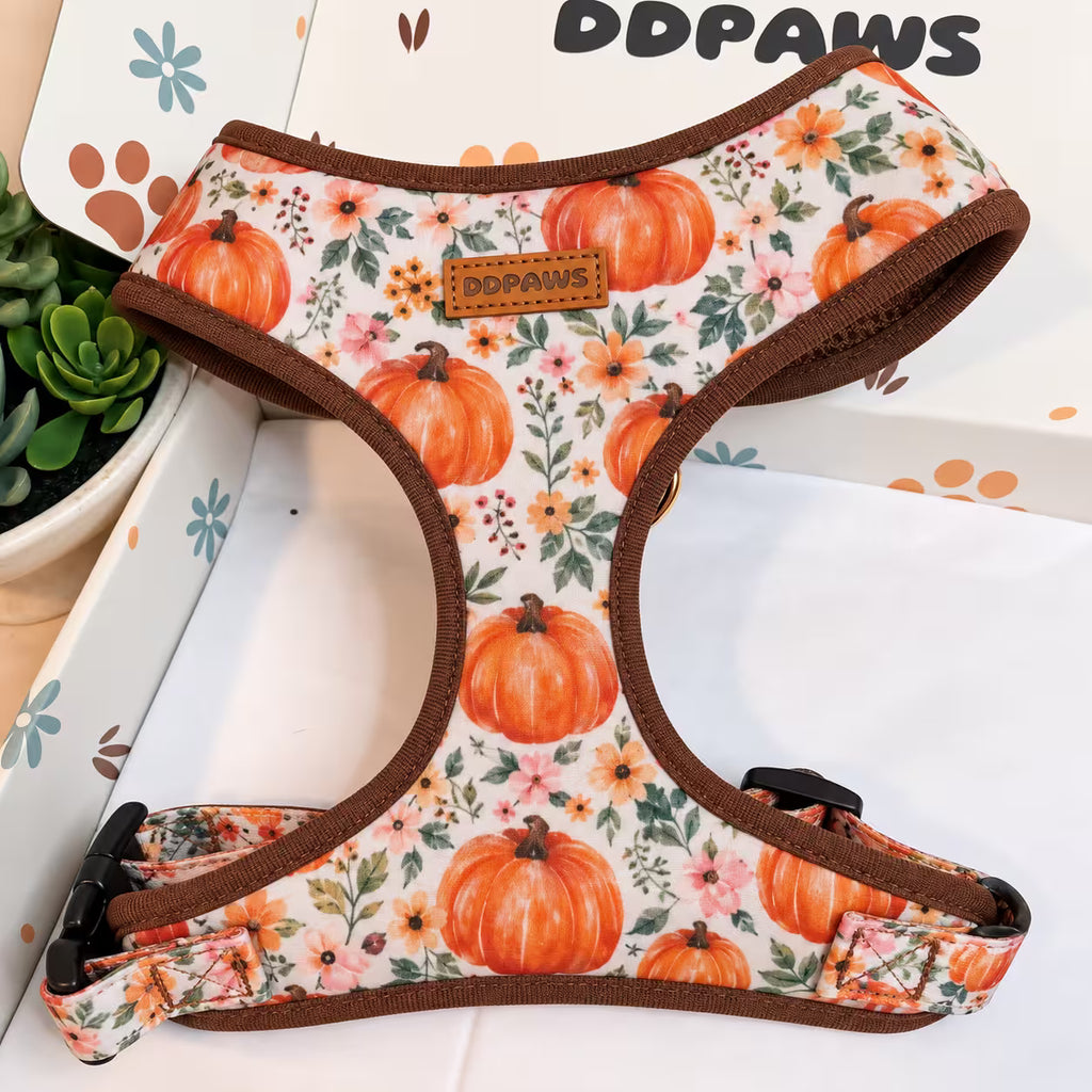 Entworfenes florales Hundegeschirr-Set [Maßanfertigung]
