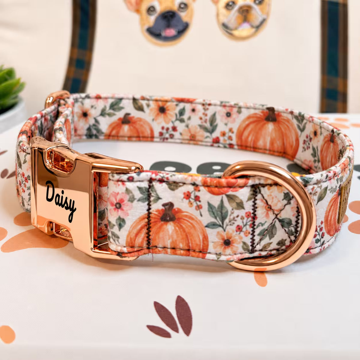 Designed Pumpkin Meadow Dog Vest Set