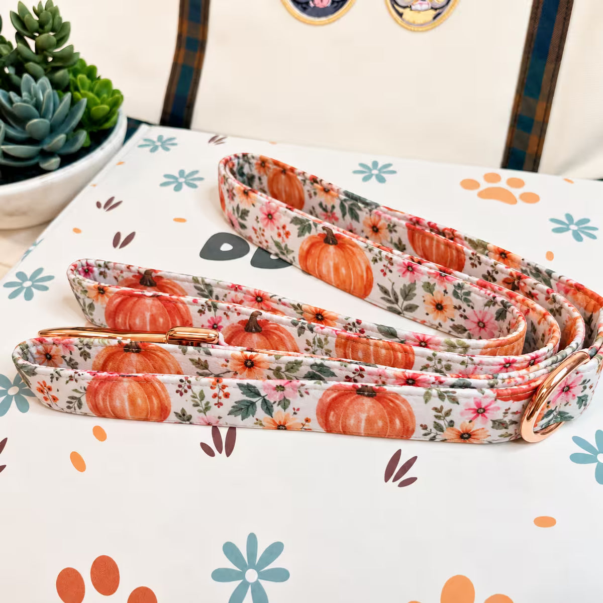 Designed Pumpkin Meadow Dog Vest Set