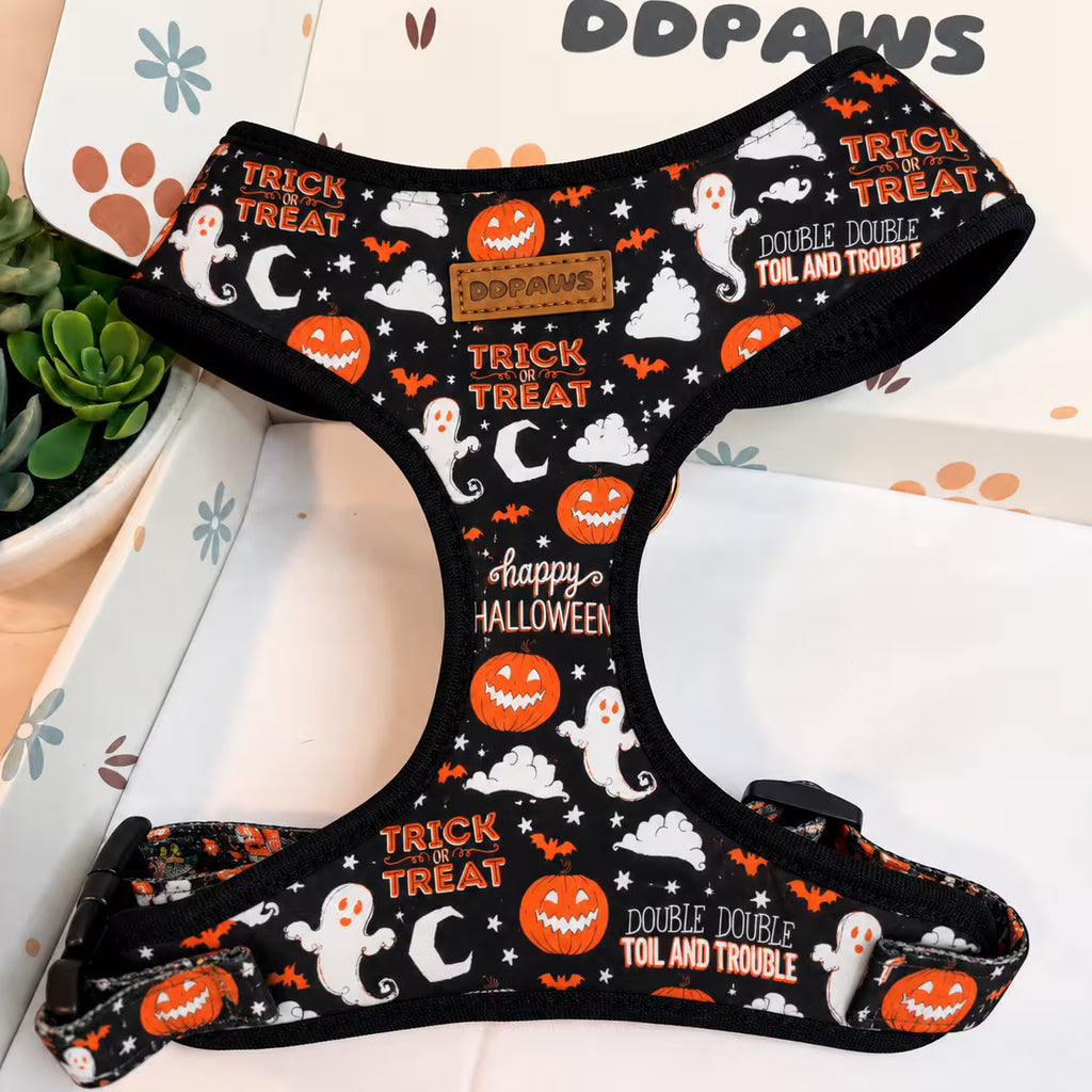 Entworfenes florales Hundegeschirr-Set [Maßanfertigung]
