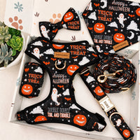 Designed Trick or Treat Halloween Dog Vest Set