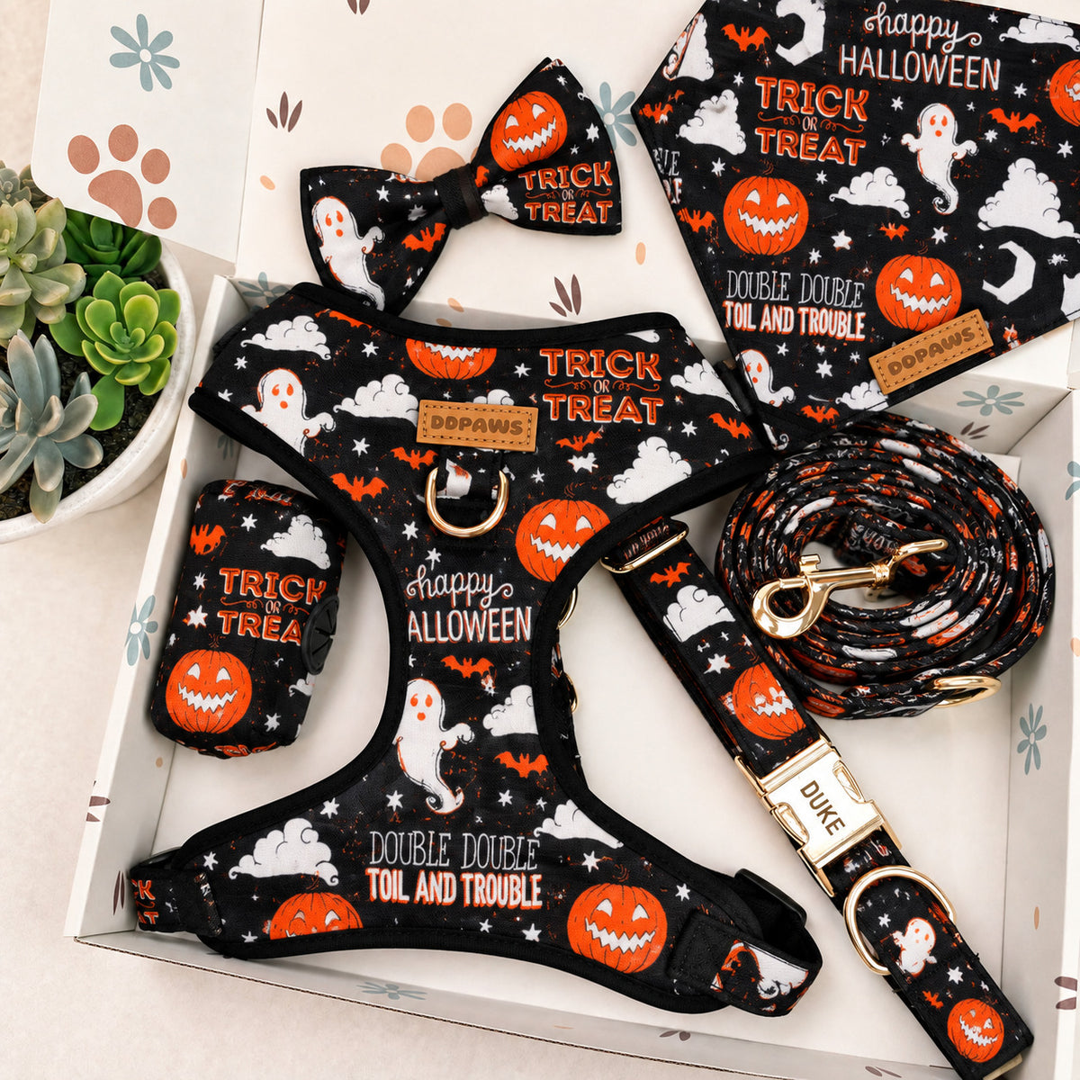 Designed Trick or Treat Halloween Dog Vest Set