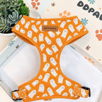 Designed Boo Crew Dog Vest Set