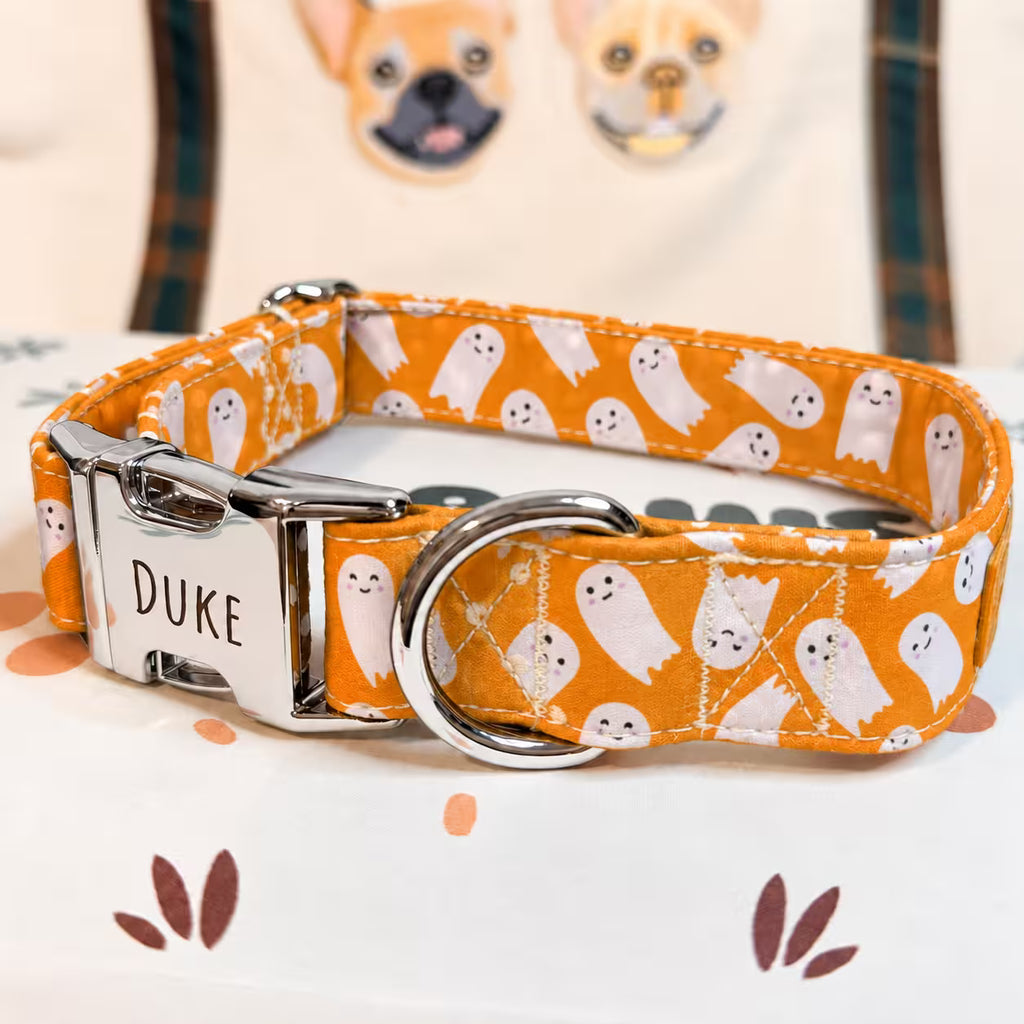 Designed Boo Crew Dog Vest Set