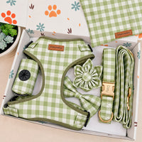 Designed Sage Picnic Dog Vest Set