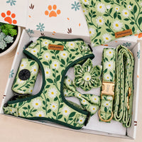 Designed Sage Daisy Floral Dog Vest Set