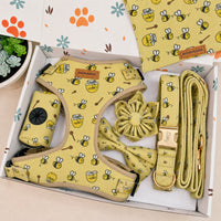 Designed Honey Bee Dog Vest Set