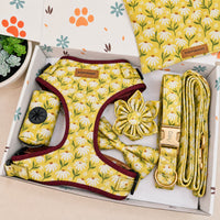Designed Golden Daisy Floral Dog Vest Set