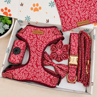 Designed Crimson Garden Floral Dog Vest Set