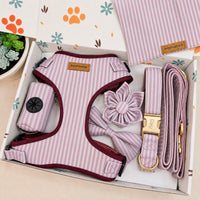 Designed Pink Stripe Dog Vest Set