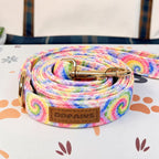 Designed Rainbow Twirl Floral Dog Vest Set
