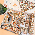 Designed Butterfly Dog Vest Set