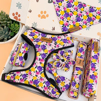 Designed Purple Floral Dog Vest Set