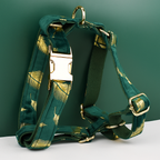 Green Feather Velvet Personalized Dog Collar, Leash & Harness Set