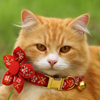 Cute Cat Collar, Harness & Leash Set – Personalized Engraved Nameplate, Padded