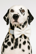 White Corduroy Personalized Dog Collar, Leash & Harness Set