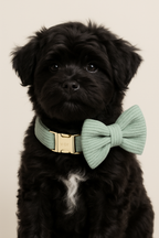 High Quality Light Green Corduroy Dog Collar, Harness & Leash Set – Personalized Engraved Nameplate, Padded