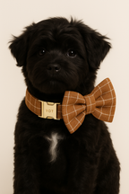 Brown Grid Personalized Dog Collar, Leash & Harness Set