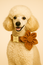 Ancient Pottery Velvet Personalized Dog Collar, Leash & Harness Set