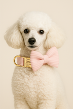 Pink Corduroy Personalized Dog Collar, Leash & Harness Set