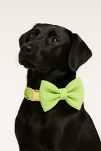 Apple Fruit Green Corduroy Personalized Dog Collar, Leash & Harness Set