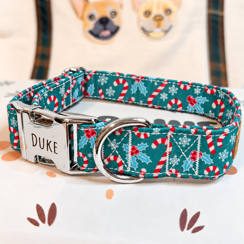 Designed Christmas Candy Cane Dog Harness Set
