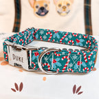 Designed Christmas Candy Cane Dog Harness Set